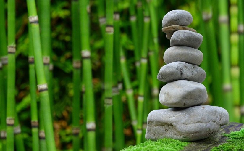 Ładny oraz czysty zieleniec to zasługa wielu godzin spędzonych  w jego zaciszu w trakcie jego pielegnacji.