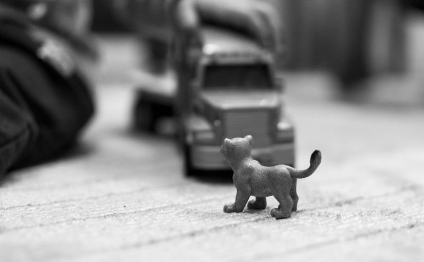 Każdy mężczyzna posiadający własne cztery kółka i nie tylko , fantazjuje by jego fura czy motocykl wyglądały jak najlepiej.