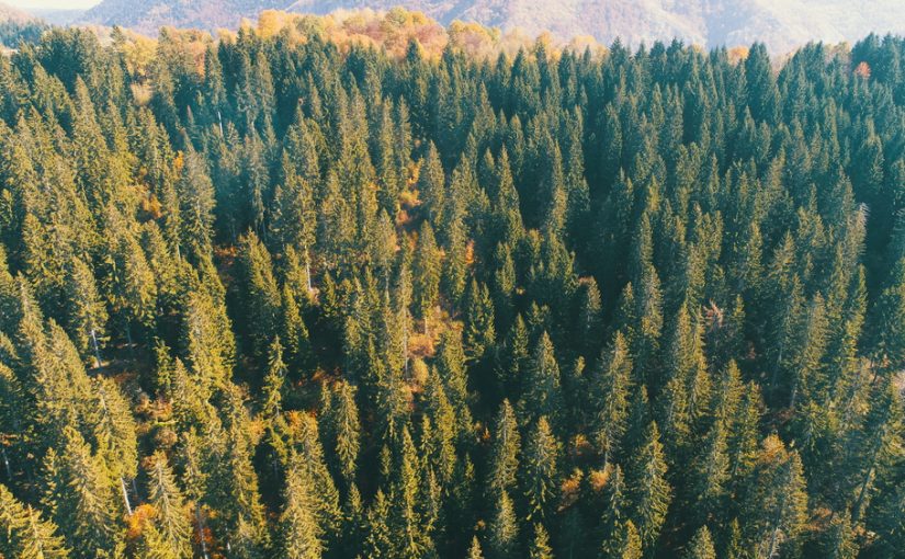 Szambo – Podstawowe Dla Zdrowia i Środowiska: Funkcje, Dbanie, Usuwanie. Zachowujmy o Rodzinne Otoczenie, Zauważmy Wagę Struktury Systemu kanalizacji.