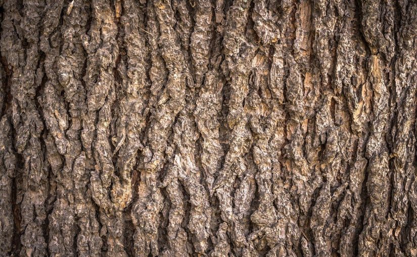 Prześliczny oraz {estetyczny ogród to nie lada wyzwanie, zwłaszcza jak jego pielęgnacją zajmujemy się sami.