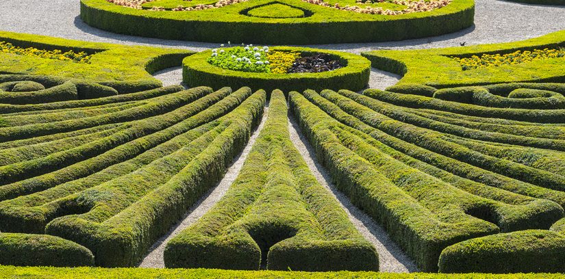 W jaki sposób urządzić ogród? Rozbudowany poradnik dla miłośników architektury krajobrazu